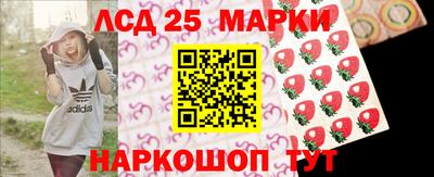 гидропоника Нальчик