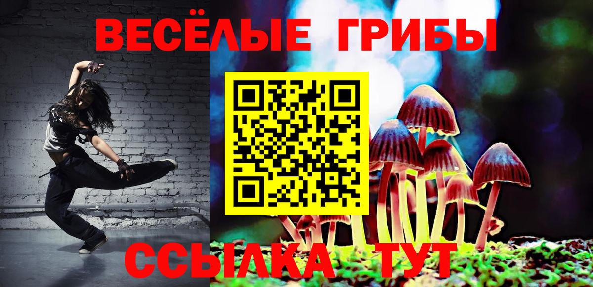 Торжок  Псилоцибиновые грибы Psilocybine cubensis  Вход с VPN 