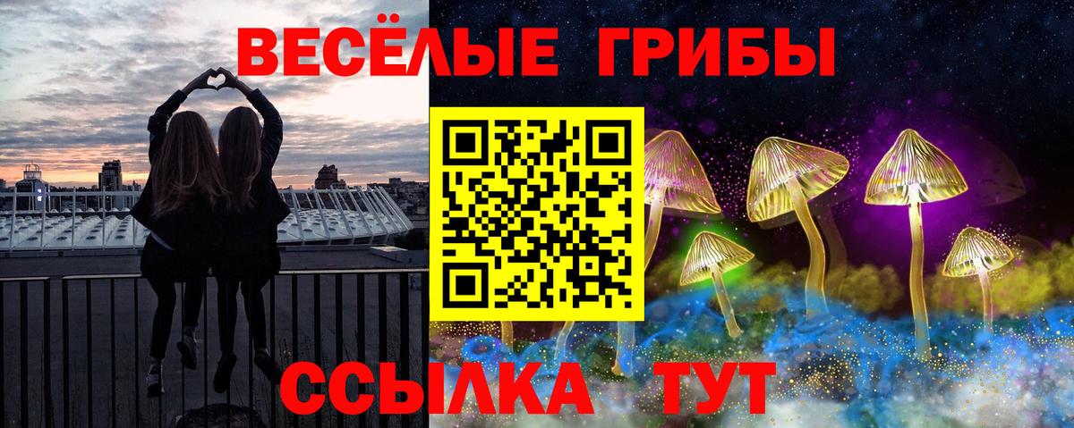 Галлюциногенные грибы Cubensis Торжок